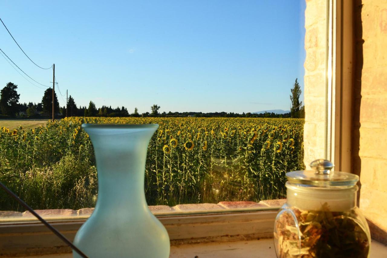 Chambres d hôtes de charme dans Mas La Souvine du 17ème, chambres climatisées Bédarrides Esterno foto