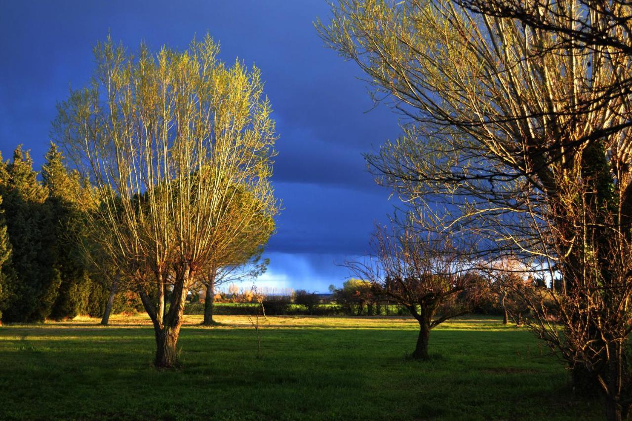 Chambres d hôtes de charme dans Mas La Souvine du 17ème, chambres climatisées Bédarrides Esterno foto